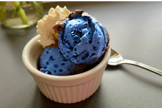 Blueberry Chocolate Chip Ice Cream